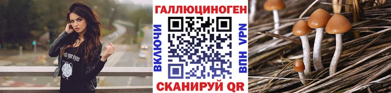 Псилоцибиновые грибы ЛСД  где найти   Задонск 